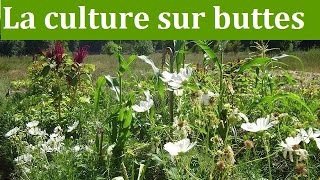 La culture sur buttes 2 [upl. by Kopans]