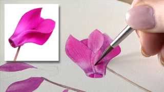 How to paint the Cyclamen Flower by Billy Showell [upl. by Kalasky]