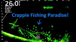 Fishing For Winter Crappie on Lake Darbonne FullScreen LiveScope Fishing Footage Trip 15 [upl. by Atsedom904]