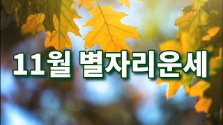 11월 별자리운세 전갈자리신월수성역행물고기자리 토성순행명왕성 물병자리입궁 [upl. by Vikki970]