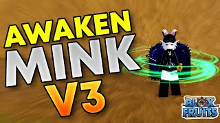 How to Awaken Mink V3 in Blox Fruits [upl. by Tella984]