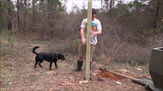 How To Make Homemade Gravity Deer Feeder From Pallet Wood  Do It Yourself [upl. by Philbrook]