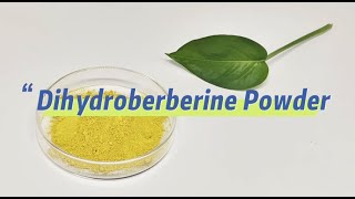 Dihydroberberine Powder [upl. by Nahtad]