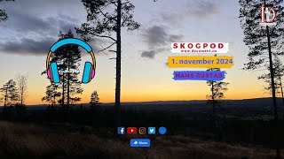 Skogpod 1 november 2024 [upl. by Ahsykal508]