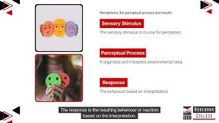 Describe Perceptions and the Perceptual Process and the Distortions as a Result LU3LO5 [upl. by Ahsiemal]