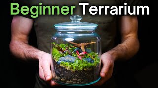 How To Make a Terrarium An InDepth Tutorial [upl. by Clementius]