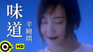 辛曉琪 Winnie Hsin【味道 Scent】Official Music Video [upl. by Shelli]