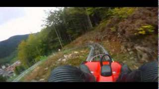 Hasenhorn coaster Rodelbahn Todtnau downhill rail tobogan [upl. by Oira]