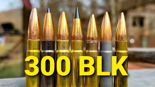 300 BLK AMMO TEST  100 Yard Group Test [upl. by Jaquenetta236]