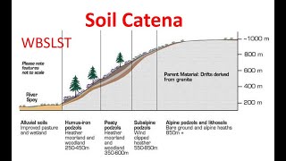 Soil Catena [upl. by Eda337]