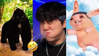 BEST JeffreyX Funny Try Not To Laugh Challenge Compilation 🤣 2024 Part 10 [upl. by Kared]