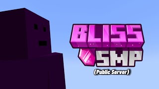 I joined a public Bliss SMP server [upl. by Harbot]