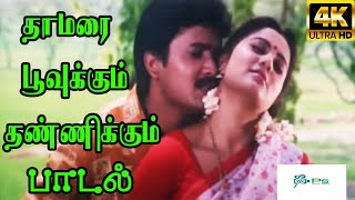 Thamarai Poovukum தாமரை பூவுக்கும் Sujatha Mohan Krishnachandar  H D Love Song [upl. by Rehptsirhc]