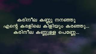 Karineela Kannulla Penne കരിനീലക്കണ്ണുള്ള പണ്ണ്  Song With Lyrics  Melodious Songs [upl. by Auqenehs]