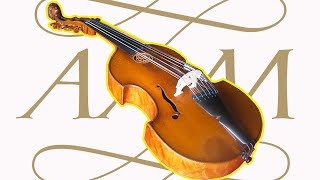 An Introduction to the Viola damore [upl. by Nlycaj181]