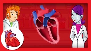 Atrial Septal Defect Repair at SSM Heart Institute [upl. by Assenat]