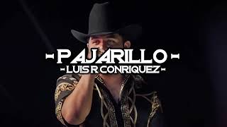 Luis R Conriquez  Pajarillo  Maquillaje A Granel  Lyrics Video  🔥 [upl. by Tristis]