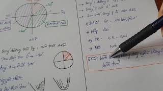 ECG cơ bản  phần 1 [upl. by Aelem]