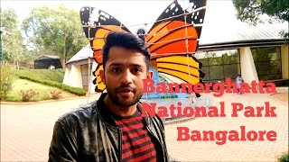 Bannerghatta National Park Tiger Safari  Butterfly Park  Zoo [upl. by Aicinat]