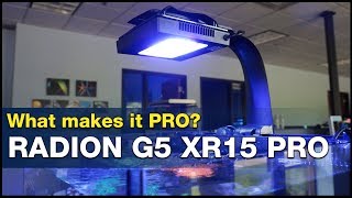 This is what it means to go PRO How to Master your tank lighting using Radion G5 XR15 Pros [upl. by Filahk]