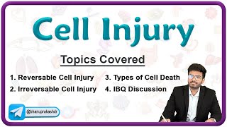 🔬 Reversible amp Irreversible Cell Injury  Cell Death and Its Types  Pathology Lecture  1 [upl. by Melantha961]