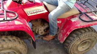 honda fourtrax 300 problem [upl. by Ricca]