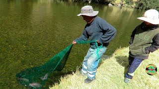 GRAN PESCA DE TRUCHAS EN RIÃ“  Pescando Truchas GRANDES con Atarraya [upl. by Weir]