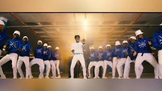 Diamond platnumz Ft Fally Ipupa Inama  official music video HD [upl. by Anitsuj]