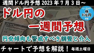 【ドル円の予想】一旦の調整を予想も全体的な円安推移は継続見通し【週間ドル円予想 202373～】 [upl. by Lucky]