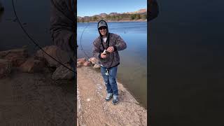 Catching Rainbow Trout at Boulder Memorial pond 11923troutfishing [upl. by Zerline]