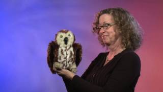 Folkmanis® Sawwhet Owl Puppet Demo  Retired [upl. by Warila]