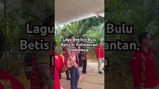 Lagu Bekikis Bulu Betis Dinyanyikan Di Kalimantan Indonesia Sumber dari Petrus Sabang Merah [upl. by Lashonde]