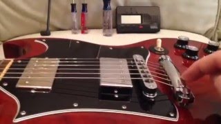 SG Guitars Quick Setup Specs [upl. by Hamimej]