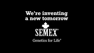 Semex 2020 [upl. by Ahseekan292]