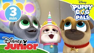 Puppy Dog Pals  The Sea Unicorn 🦄  Disney Kids [upl. by Yllib]