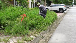 Discovered a MYSTERY under the overgrown grass while cleaning the sidewalk between two white villas [upl. by Ethyl]