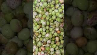 pigeon peas recipe 🤤sambar southindianfood cooking recipe southindiansambar [upl. by Eal]