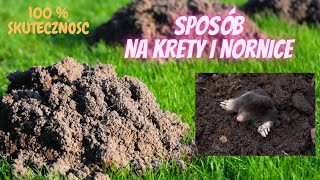 Jak pozbyć się kretów nornic i innych [upl. by Bettine]