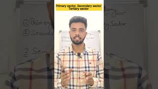 Primary sector Secondary sector Tertiary sector economy economics gs shorts [upl. by Werra103]