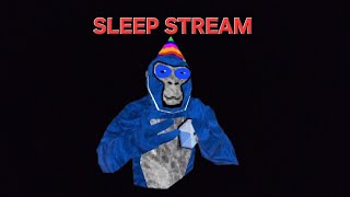 SLEEP STREAM RETURNS [upl. by Araiek]