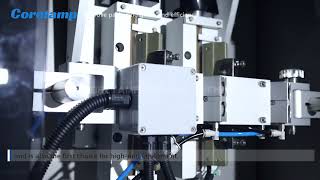 2 lane back sealing powder packaging machine [upl. by Irrot]