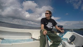 Boat fishing trip Lough Derg 2016 [upl. by Certie]