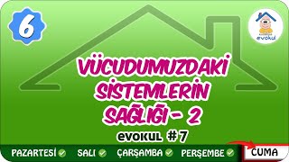 Vücudumuzdaki Sistemlerin Sağlığı 2  6 Sınıf uzaktanegitim evokul Kampı [upl. by Darcy81]