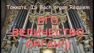 Потрясающая музыка И С Бах Орган Токката IS Bach Organ Requiem [upl. by Ferris]