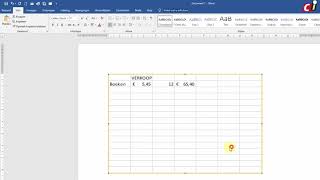 Excel werkblad gebruiken in Word [upl. by Ainomar]