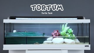 TORTUM [upl. by Evslin]