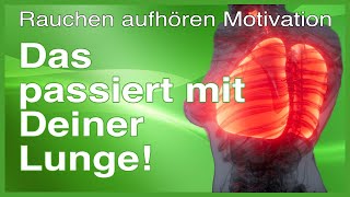 Rauchen aufhören Motivation  das passiert mit der Lunge [upl. by Bevers]