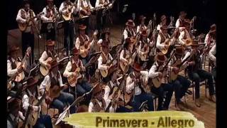 Primavera Allegro  Orquestra Paulistana de Viola Caipirawmv [upl. by Nike588]