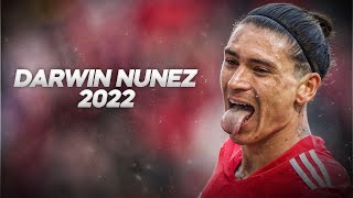 Darwin Núñez  Full Season Show  2022ᴴᴰ [upl. by Paviour]