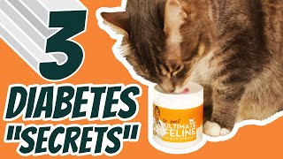 Dr Jones Cats Diabetes Journey 3 Home Remedies That Really Work [upl. by Rocray470]